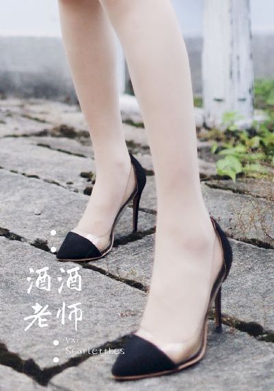 与君决