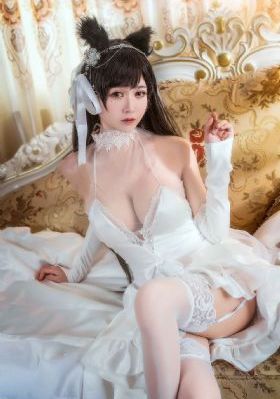 南海归墟电视剧免费观看完整版